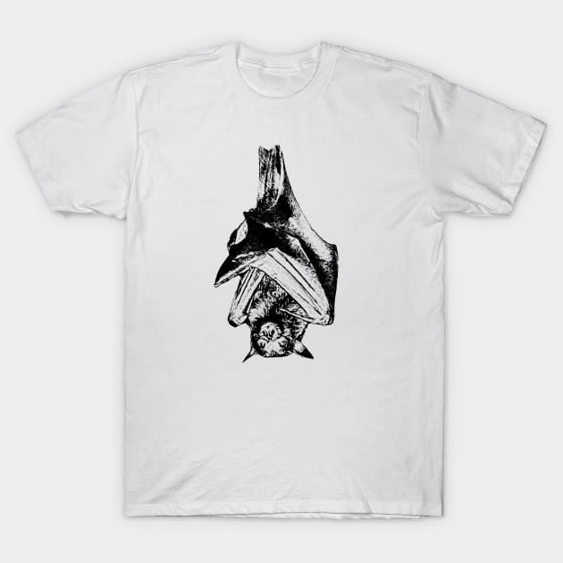 Lyle's flying fox T-Shirt by Guardi